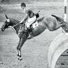 Hans Günter Winkler und Halla bei ihrem legendären Gold-Ritt während der Olympischen Spiele 1956 in Stockholm. 