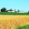 Die Biogasanlage von Landwirt Klaus Jekle aus Edelstetten versorgt ab Oktober die neue Volksschule und die Sporthalle in Neuburg mit Wärme. Foto: Landratsamt