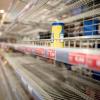 Viele Kunden erleben das zurzeit: leere Regale in den Supermärkten. Die Lebensmittelbranche betont aber, dass die Warenversorgung trotz der erheblich gestiegenen Nachfrage gesichert sei.