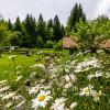 Wie es blüht und wächst, kann man sich am Samstag in mehreren Gärten im Landkreis Weilheim-Schongau anschauen.