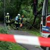 Unwetter hatten in Augsburg zuletzt zahlreiche Bäume beschädigt.