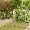 Eine Schneise der Verwüstung hinterließ ein Unwetter am Montag im Landkreis. Die größten Schäden gab es in Großaitingen, auch der Schwabmünchner Stadtteil Birkach war betroffen.