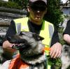 Im Juni 2006 wird "Problembär Bruno" in Bayern und Tirol zum Abschuss freigegeben. Finnische Bärenfänger sollen ihn mit ihren Spürhunden finden, scheitern aber.