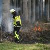 Soweit wie auf diesem Bild ist es im Landkreis Dillingen noch nicht gekommen, die Feuerwehren mussten noch nicht ausrücken. Dennoch besteht Waldbrandgefahr der mittleren und hohen Stufe. 