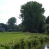 Die Bobinger Ölwiesen zwischen Singold und Poststraße sind weder als Bauland noch als landwirtschaftliche Flächen besonders geeignet. Aus ökologischer Sicht sind sie jedoch wertvoll. Daher sollen sie nicht bebaut werden dürfen. 