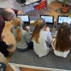 Der Landkreis Günzburg will die Schulen digital besser ausstatten.