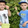 Auf der Plantage der Familie Storz bei Igling pflücken auch der fünfjährige Emilio und der ein Jahr jüngere Nico Himbeeren.