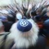 Ein Mann mit einer Kippa nimmt an der Solidaritätskundgebung "Berlin trägt Kippa" der Jüdischen Gemeinde teil. Im Internet wächst zuletzt der Antisemitismus.