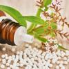 Homöopathische Arzneimittel werden von der Schulmedizin als reines Placebo angesehen.