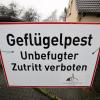 "Geflügelpest Unbefugter Zutritt verboten" steht auf einem Schild am Zaun eines betroffenen Hofes.