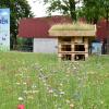 Eine bunte Blühwiese schmückt das von Kindern gebaute Insektenhaus beim Bürgerhaus im Ostend. 	 	