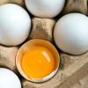 Backen, kochen, braten, färben - mit einem Ei lässt sich viel anstellen. 