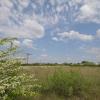 Auf der Flugplatzheide soll gebaut werden.