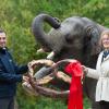 Zoodirektor Rasem Baban, und Bürgermeisterin Christine Strobl überreichen Elefant Ludwig zum Geburtstag und zum Abschied eine riesige Brezel.