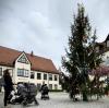 Statt des klassischen Maibaums steht auf dem Pfaffenhofener Marktplatz nun ein Weihnachtsbaum. 