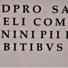 Die Inschrift zu Ehren des Kaisers Commodus zum Abschluss von Baumaßnahmen.  	