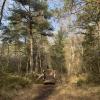 Die Wanderwege im Haspelmoor sind auch für Kinder gut machbar.