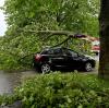 In Schwaighofen krachte ein Baum auf vier geparkte Autos. Es entstand ein Schaden in fünfstelliger Höhe.