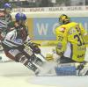 Augsburger Panther gegen Krefeld Pinguine. Im Bild: Panther Kyle Helms.