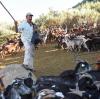 Ziegenhirte Fernando Moura in der Serra da Estrela: Der 49-Jährige treibt seine Herde täglich im Auftrag der Regierung durch den Nationalpark.