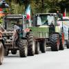 Milchbauern fuhren heute mit hunderten Traktoren nach München. Ein Protest gegen den stetigen Verfall des Milchpreises.