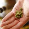 Die Nachfrage nach Cannabis auf Rezept steigt.