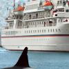 Ein Eisbär hat auf Spitzbergen ein deutsches Crew-Mitglied der "MS Bremen" angegriffen.