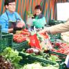 Seit 25 Jahren gibt es den Bauernmarkt in Günzburg. Ohne Salat, auf Platz 2 der Beliebtheitsskala am Kimmerle-Stand, geht bei vielen am Samstag gar nichts. 