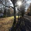 Die Erweiterungsflächen auf dem Nordfriedhof liegen brach, weil sie nicht benötigt werden. Von den 11.000 Grabstätten, die es bereits gibt, sind derzeit mehr als 3400 nicht belegt.