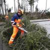 Orkan "Sabine" wütet auch im Landkreis Landsberg. Im Industriegebiet im Landsberger Westen fiel eine Fichte um. Bauhofmitarbeiter beseitigten den Baum.