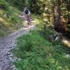 Gerne auf schmalen Wegen unterwegs. Mountainbiker sorgen in den Westlichen Wäldern für Konfliktstoff. 