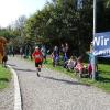 Bei bestem Wetter starteten am Sonntag viele kleine und große Läufer beim Meringer Marktlauf des TVM.