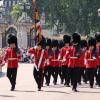 Ob Queen Elizabeth II. heimlich zusieht? Unser Autor erlebt bei seinem Interrail-Stop in London den Wachwechsel vor dem Buckingham Palace. 