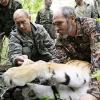 Putin präsentiert sich als Tigerbändiger
