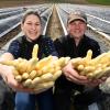 Der Klassiker ist nach wie vor der Renner: Simone und Martin Zott mit weißem Spargel vom eigenen Feld.