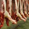Schweinehälften hängen in einem Schlachthof in Mannheim. Bei der Schweineschlachtung steht Deutschland europaweit auf Platz eins 