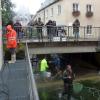 Die Landsberger Bezirksfischer sicherten nach Ablassen des Mühlbachs die darin vorkommenden Fische und setzten sie im nahen Lech wieder ein. 	