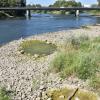 Die Donau hat derzeit einen derart niedrigen Pegel, dass am Alten Hafen in Donauwörth kein Schiff mehr anlegen könnte, weil das Wasser nicht mehr zur Mauer reicht.