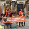 Zwei Klimaaktivistinnen mit einem Banner "Was, wenn die Regierung das nicht im Griff hat?" haben sich im Berliner Museum für Naturkunde an den Haltestangen eines Dinosauriers festgeklebt.