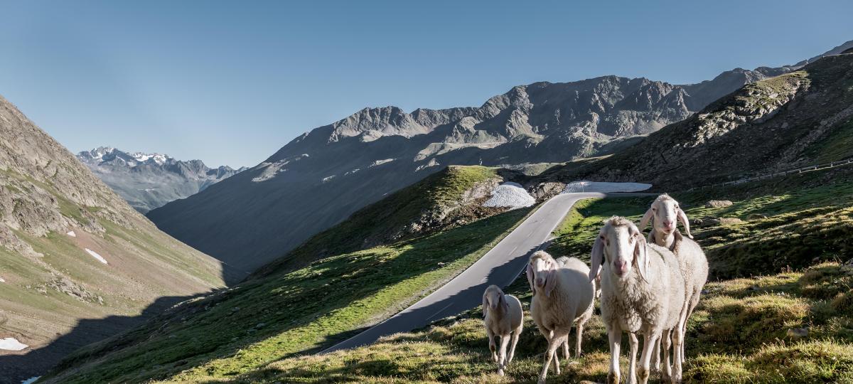 Timmelsjoch: Wichtige Urlaubsroute geht in die Winterpause