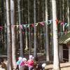Waldkindergärten sind angesagt, wie hier in Friedberg. Nun soll auch in Agawang einer errichtet werden. 	