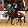 Im Blick: Von einer Tribüne aus können die Zuschauer in Klingsmoos dem Geschehen folgen. Hier ist die Reiterin Cathi Cuntz auf ihrem Pferd „Doc Janes to Cash“ zu sehen.  	
