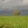 Das Wochenende eignet sich entweder für Herbstspaziergänge, bei denen man wie Leserfotografin Dominique Lahuec das Wetterspiel genießen kann, oder für diverse Veranstaltungen in der Region.