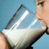 Milchviehhalter befürchten Pleite vieler Betriebe