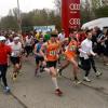 Lionslauf 2014 von Eichstätt nach Neuburg