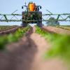 Ein Landwirt fährt mit seinem Trecker samt angehängter Spritze über ein Kartoffelfeld.