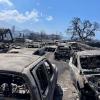 Ausgebrannte Autos stehen nach dem Waldbrand in Lahaina, Hawaii.