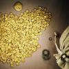 Der größte keltische Goldfund des 20. Jahrhunderts wurde 1999 gefunden, im November 2022 hatten Einbrecher die Goldmünzen gestohlen.