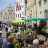 Ein Magnet für Pflanzenfreunde war am Wochenende die Wemdinger Altstadt. Der Fuchsien- und Kräutermarkt lockte schätzungsweise 20000 Besucher. 