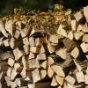 Auf der Heimfahrt Holz für 700 Euro „mitgenommen“